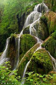 Natural Greens